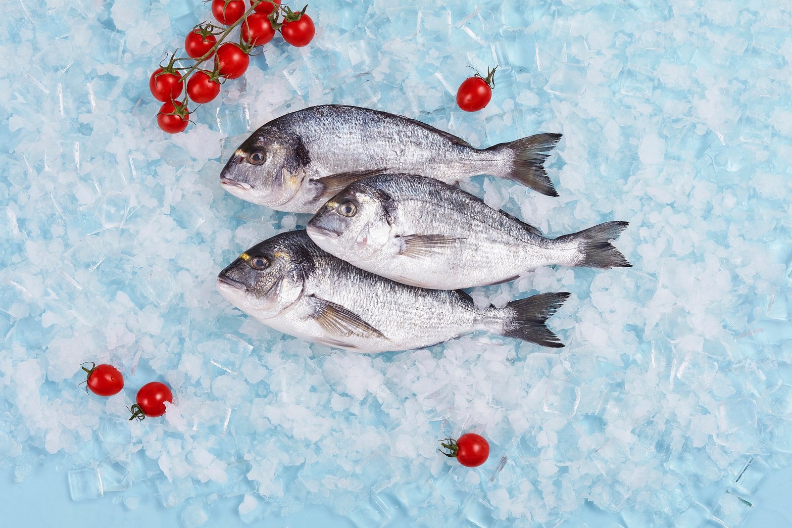 Auksaspalvės dorados